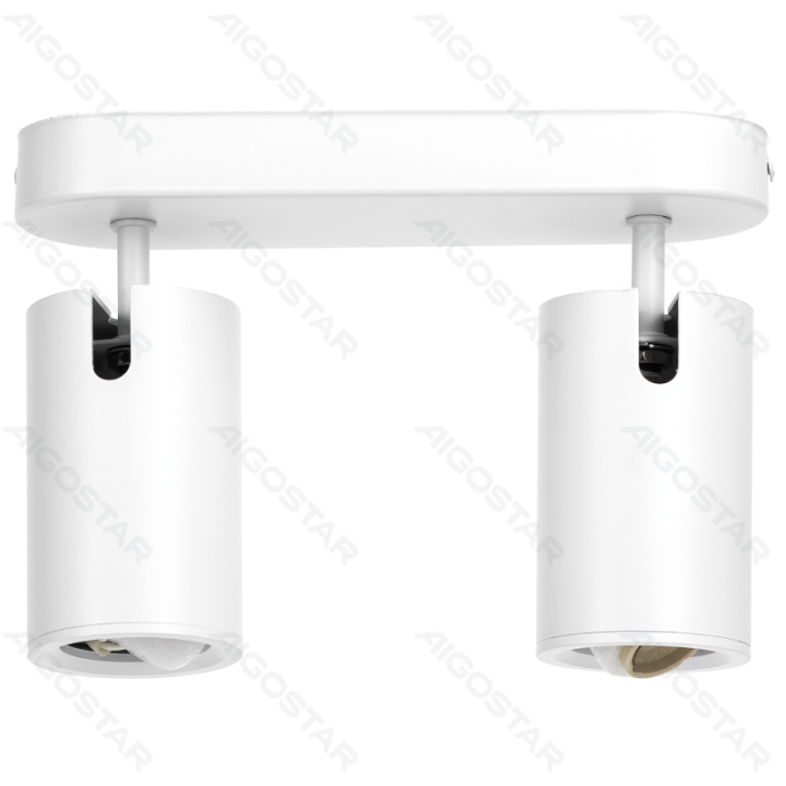 2 krypčių reguliuojamo kampo metalinis taškinis šviestuvas