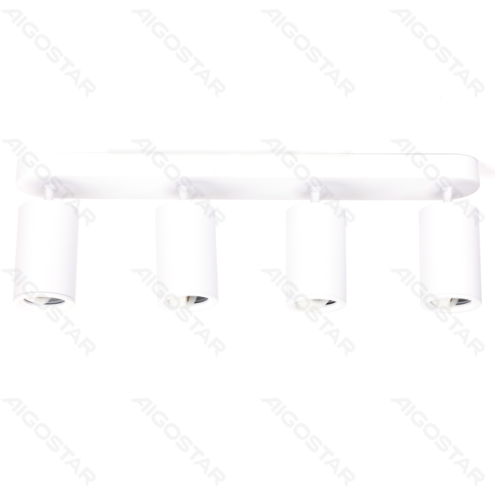 4 krypčių reguliuojamo kampo metalinis taškinis šviestuvas