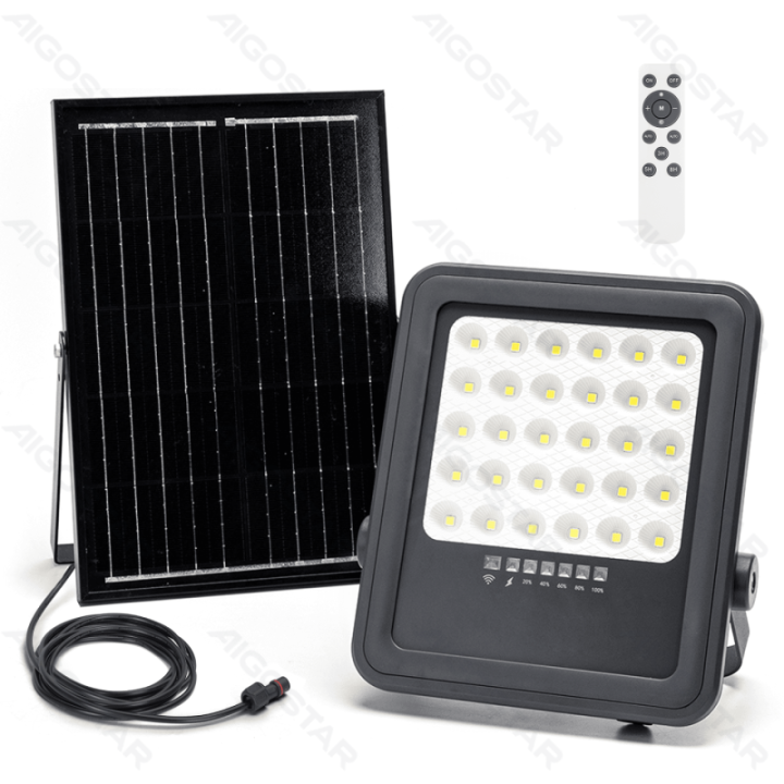 LED saulės lauko prožektorius 100W 1000lm 6500K IP65