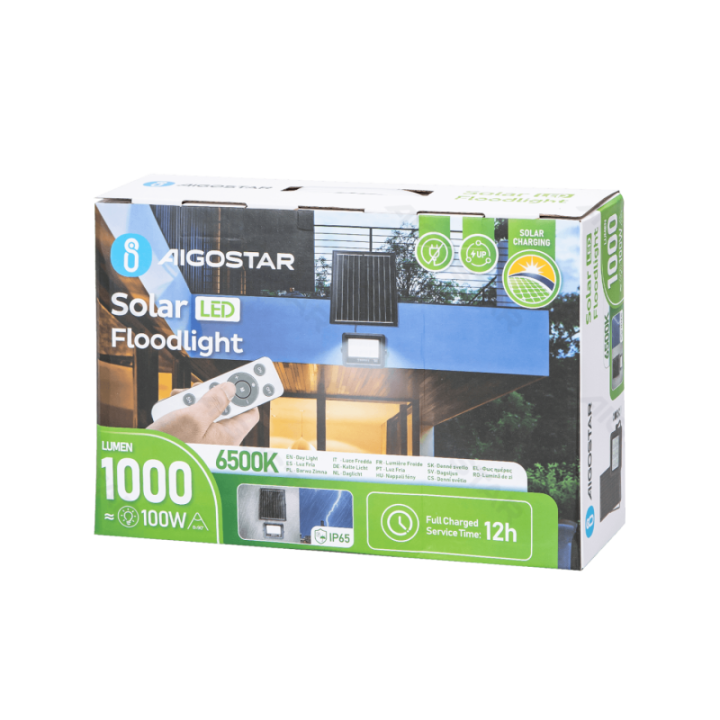 LED solar floodlight 100W 1000lm 6500K IP65