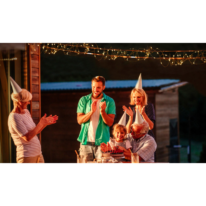 LED Solar Copper String Lights RGBY