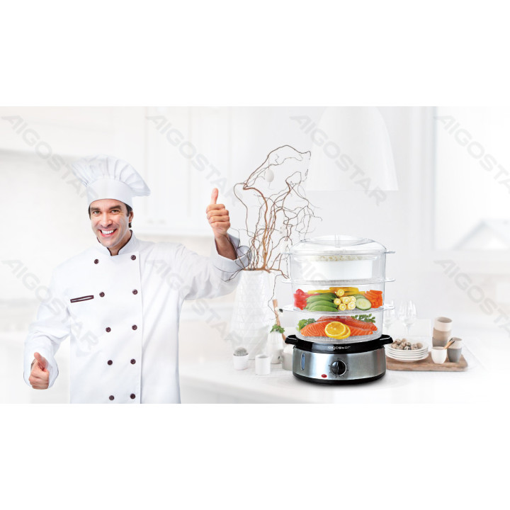 800W 9L Electric SUS Food Steamer