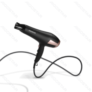 2400W Ionic Household Hair Dryer