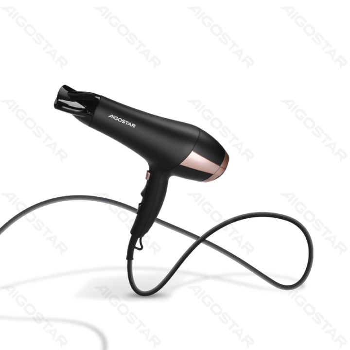 2400W Ionic Household Hair Dryer