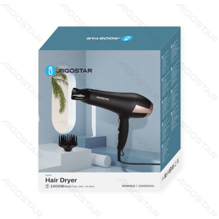 2400W Ionic Household Hair Dryer