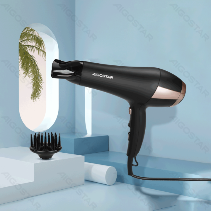 2400W Ionic Household Hair Dryer