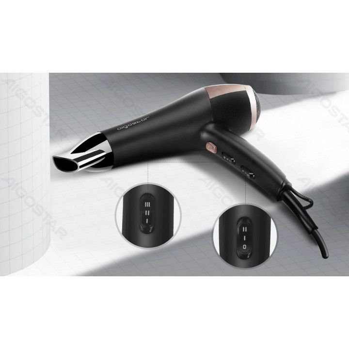 2400W Ionic Household Hair Dryer