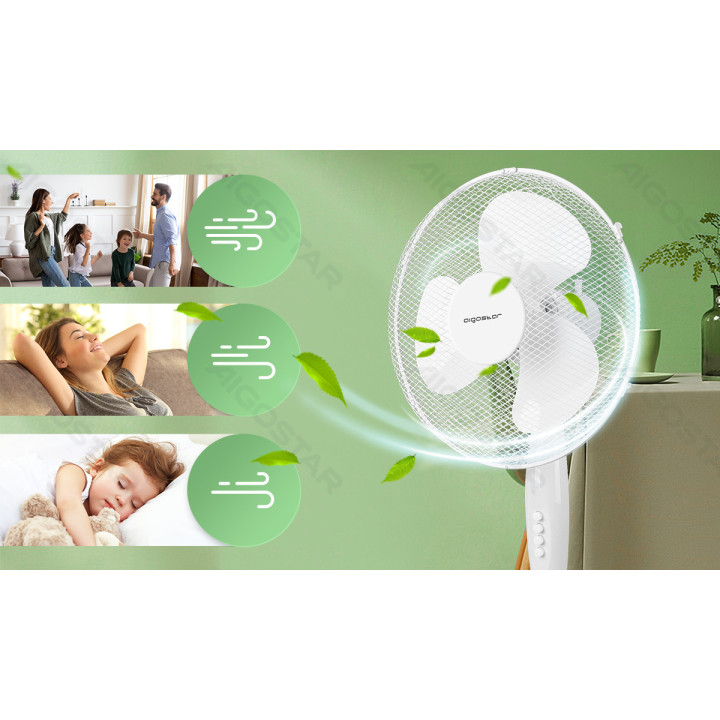 Stand Fan,16 Inches, 3 Blades, 3 Speeds, White