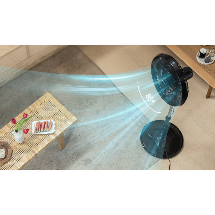 Stand Fan,16 Inches, 9 Blades, 3 Speeds, Black