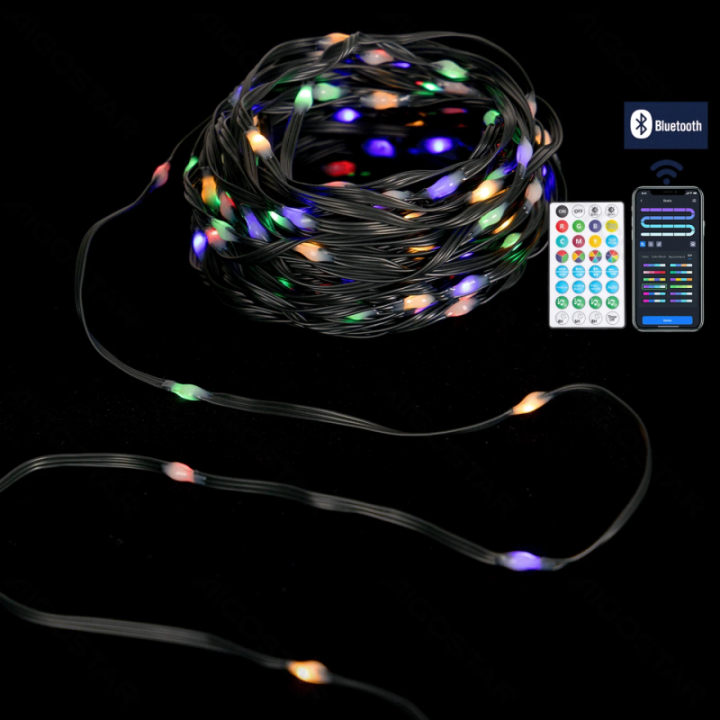 Bluetooth Low Voltage String Lights (PVC & copper) RGBIC 20m
