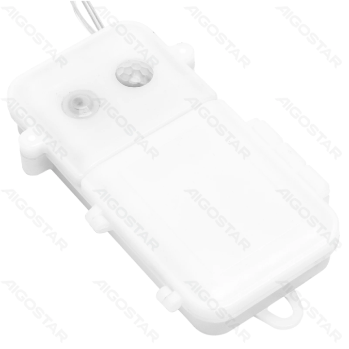 3AA Music Box lango formos angelas IP44, patalpose ir lauke