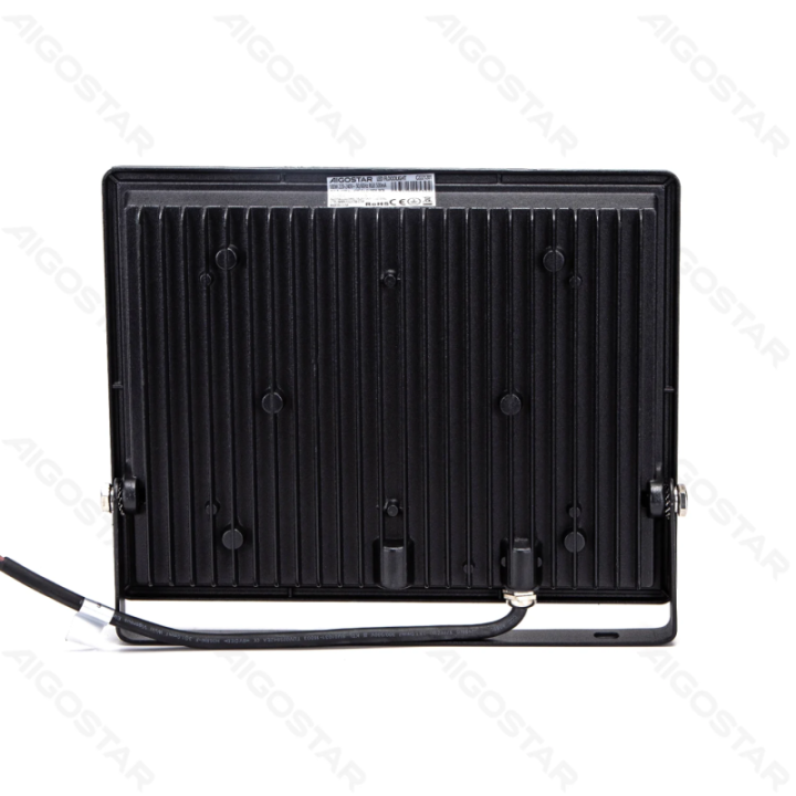 LED prožektorius 100W RGB IP65