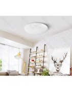Ceiling light